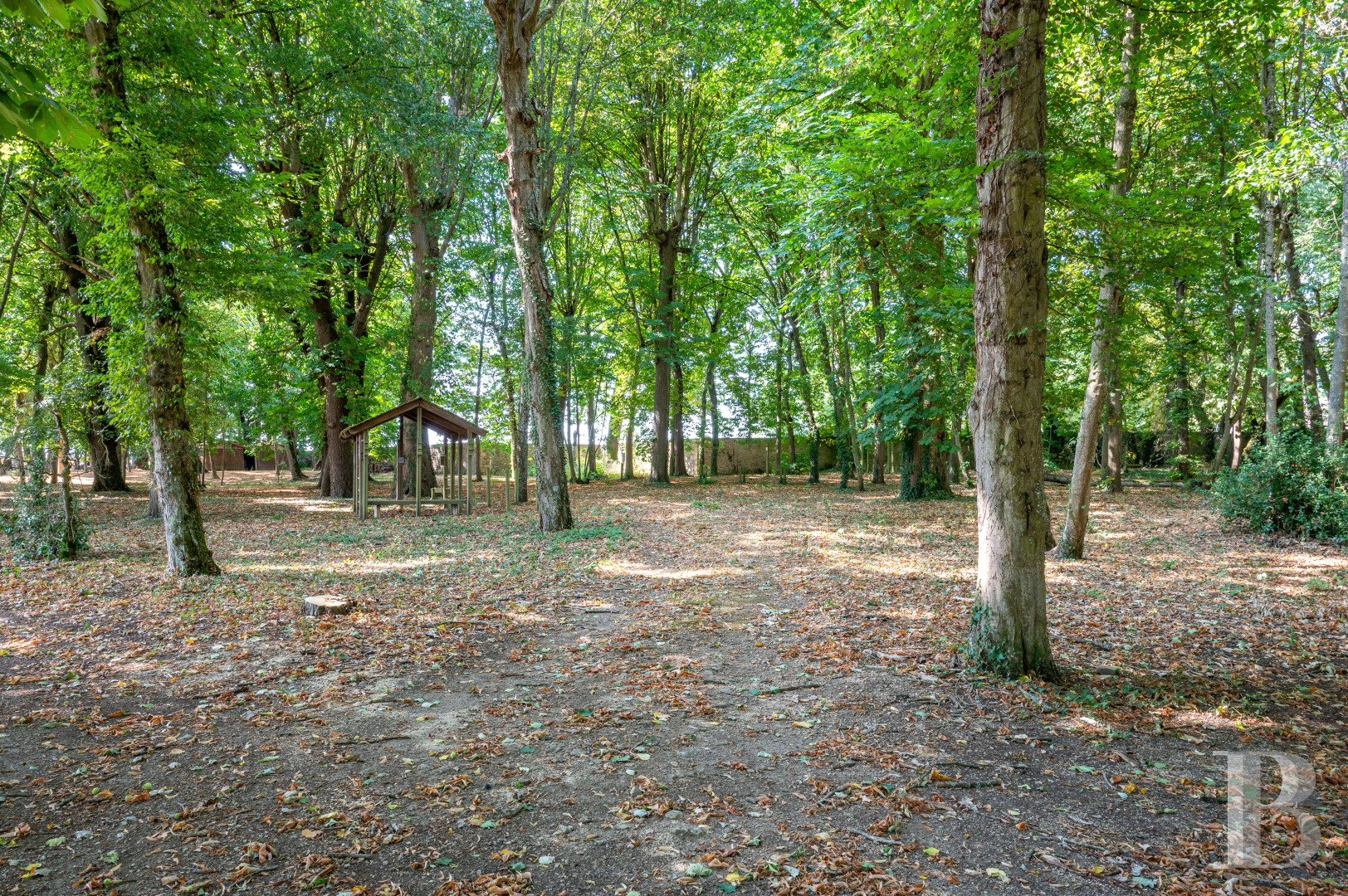Dans l’Yonne, à équidistance de Paris, Lyon et Genève, une ancienne place forte médiévale et son parc aménagés pour accueillir calmes séjours et grands événements  - photo  n°45